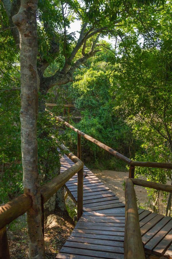 Panzi Lodge Guernsey Nature Reserve Buitenkant foto